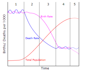 DTM