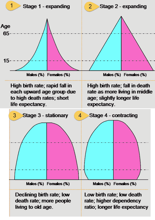Demographic-transition-four-stages_T